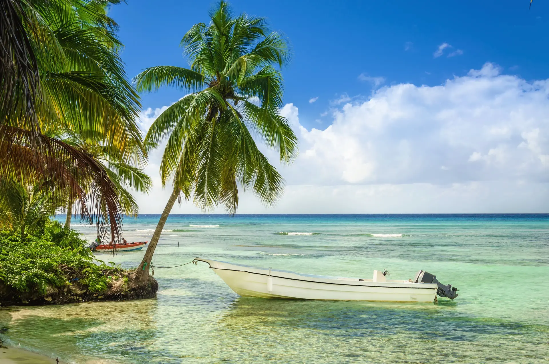 Nueva York y Jamaica