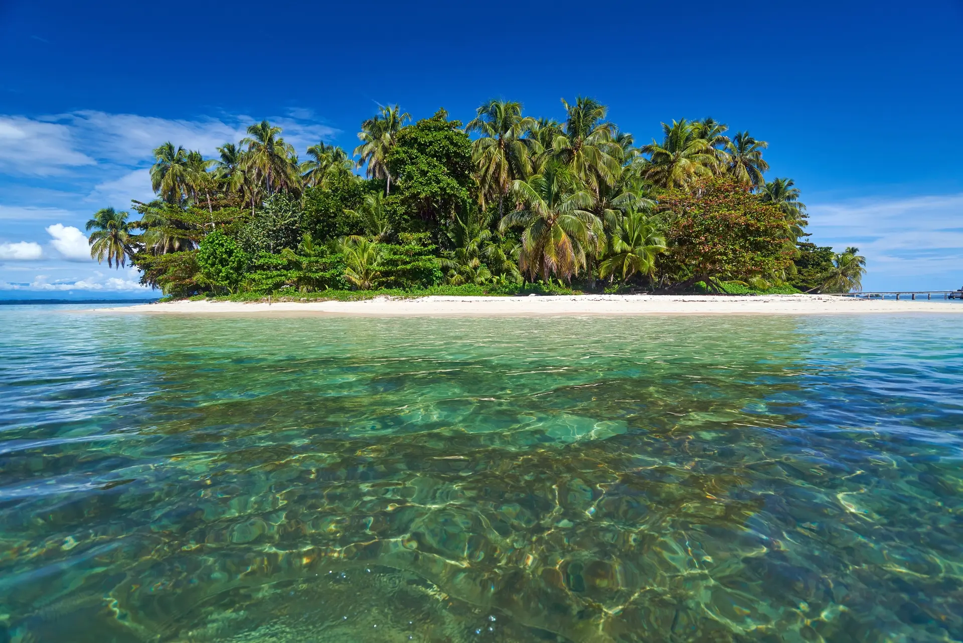 Panamá Esencial con Bocas del Toro