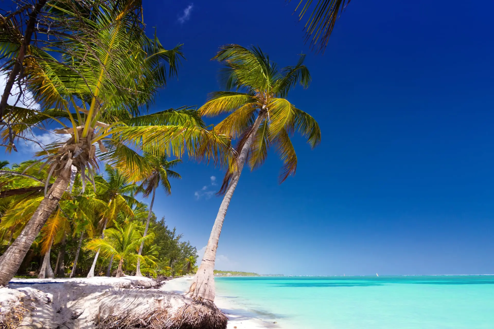 Punta Cana Todo Incluido